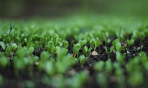 Scopri di più sull'articolo Offerta formativa per la specializzazione sul sostegno. Ecco i numeri, ripartiti